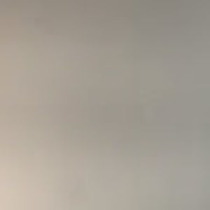 Meet your Posher, Jillian